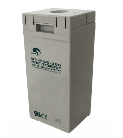 SBOBET利记蓄电池BT-MSE-300